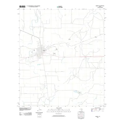 2010 Map of Sabinal, 2010 Print