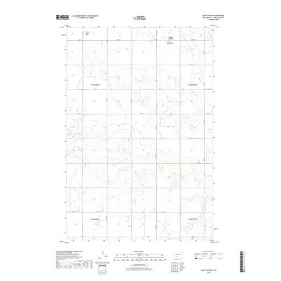 2017 Map of Saint Anthony, 2017 Print