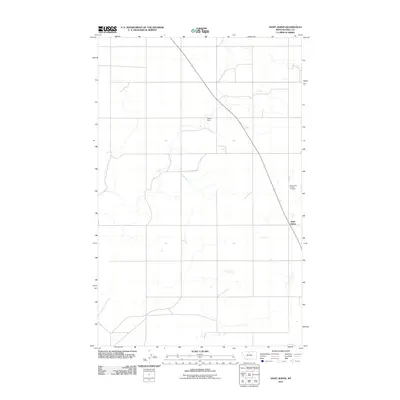 2011 Map of Saint Johns, 2011 Print