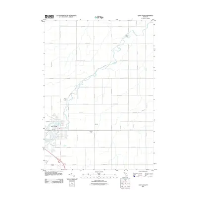 2011 Map of Saint Louis, 2011 Print