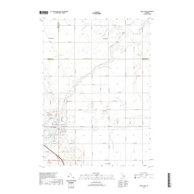 2019 Map of Saint Louis, 2019 Print