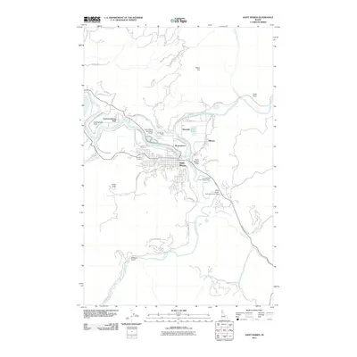 2011 Map of Saint Maries, 2011 Print