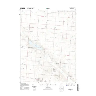 2013 Map of Saint Paris, 2013 Print