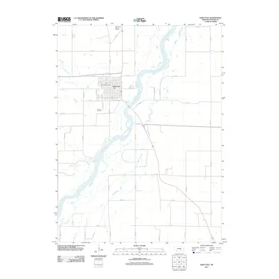 2011 Map of Saint Paul, 2011 Print