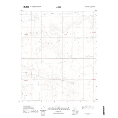 2020 Map of Salazar Canyon, 2020 Print