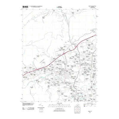 2010 Map of Salem, 2010 Print
