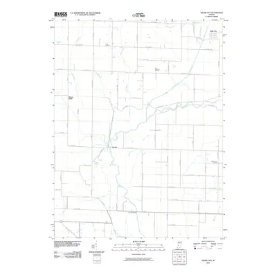 2010 Map of Saline City, 2010 Print