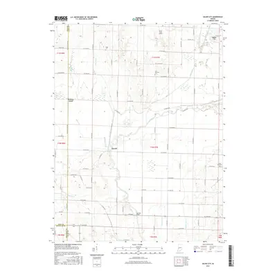2016 Map of Saline City, 2016 Print