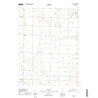 2019 Map of Saline City, 2019 Print