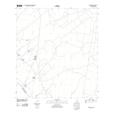 2010 Map of Salineno, 2010 Print