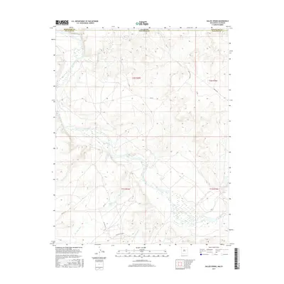 2017 Map of Sallies Spring, 2017 Print