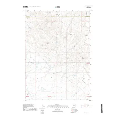 2017 Map of Salt Canyon, 2017 Print