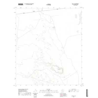 2019 Map of Salt Flat, 2019 Print