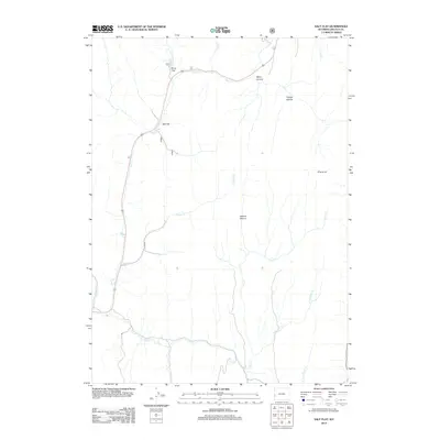 2012 Map of Salt Flat, 2012 Print