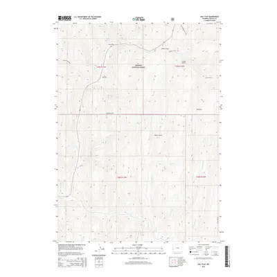 2015 Map of Salt Flat, 2015 Print