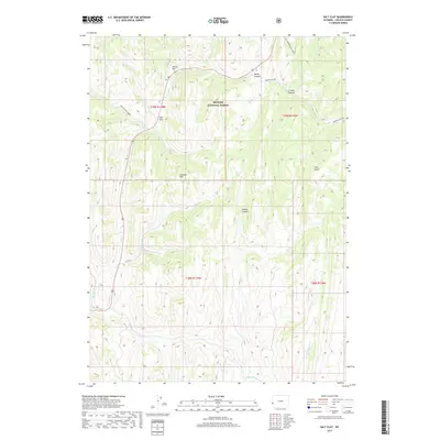 2017 Map of Salt Flat, 2017 Print