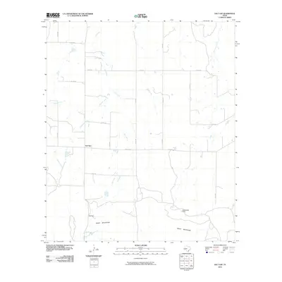 2010 Map of Salt Gap, 2010 Print