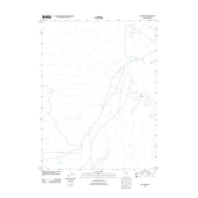 2011 Map of Salt Marsh, 2011 Print