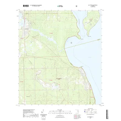 2021 Map of Salt Springs, 2021 Print