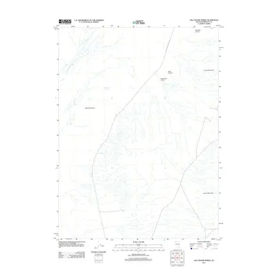 2011 Map of Salt Water Spring, 2011 Print