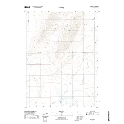 2020 Map of Salt Wells, 2020 Print