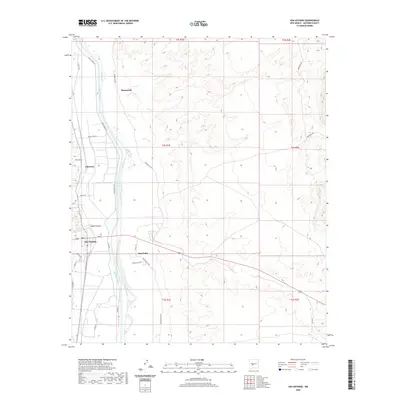 2020 Map of San Antonio, 2020 Print