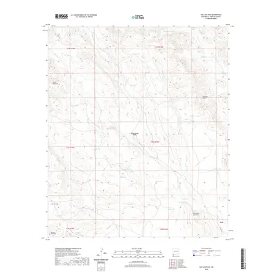 2020 Map of San Luis Pass, 2020 Print