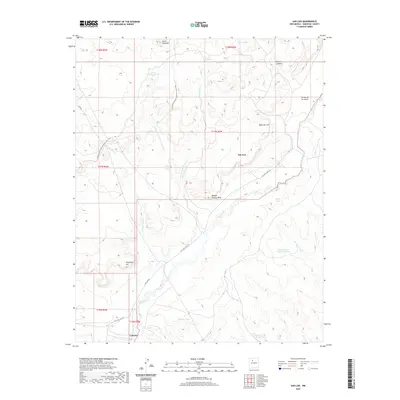 2020 Map of San Luis, 2020 Print