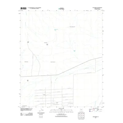 2011 Map of San Pedro, 2011 Print