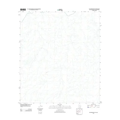 2013 Map of San Rosendo, 2013 Print
