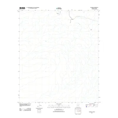 2011 Map of Sasabe, 2011 Print
