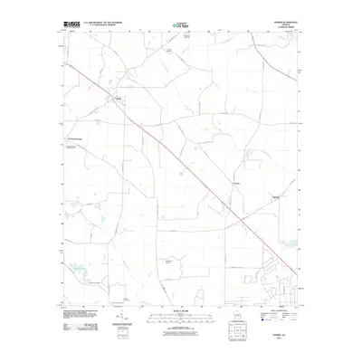 2011 Map of Sasser, 2011 Print