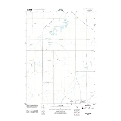 2011 Map of Saubee Lake, 2011 Print