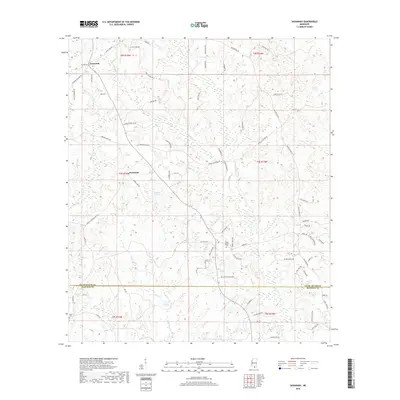 2018 Map of Savannah, 2018 Print