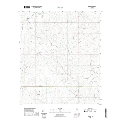 2020 Map of Savannah, 2020 Print