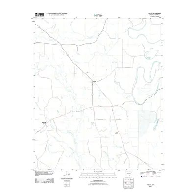 2011 Map of Selma, 2011 Print
