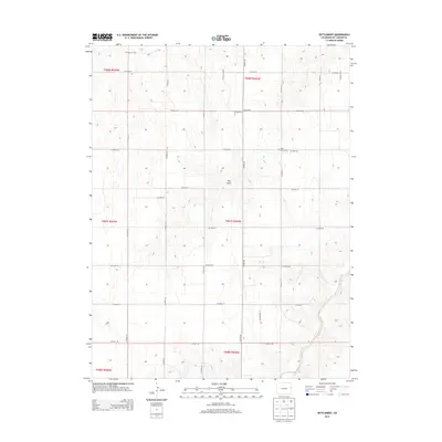 2013 Map of Settlement, 2013 Print
