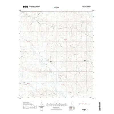 2020 Map of Shady Grove, 2020 Print