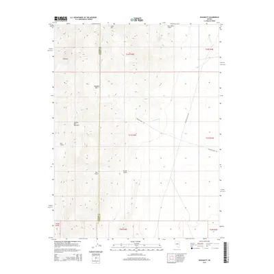 2015 Map of Shagnasty, 2015 Print