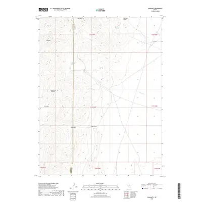 2018 Map of Shagnasty, 2018 Print