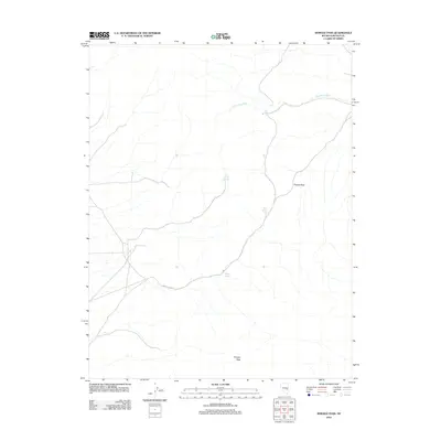 2012 Map of Shingle Pass, 2012 Print