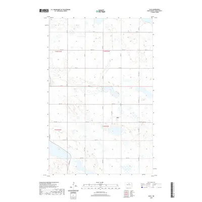 2020 Map of Silva, 2020 Print