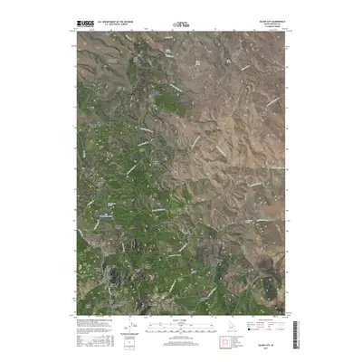 2017 Map of Silver City, 2017 Print