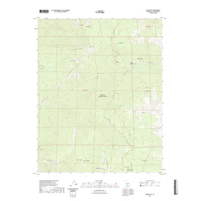 2021 Map of Silver City, 2021 Print