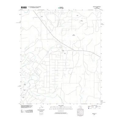 2010 Map of Silver, 2010 Print