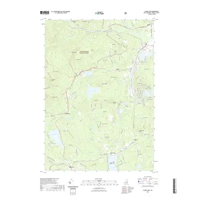 2021 Map of Silver Lake, 2021 Print