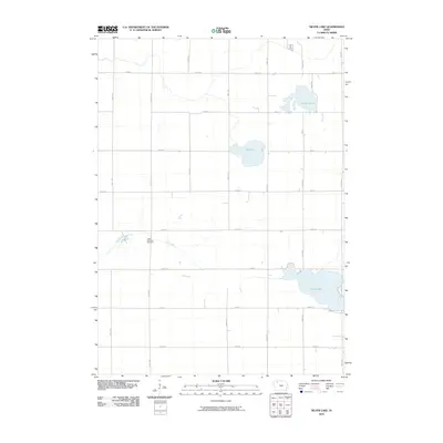 2010 Map of Silver Lake, 2010 Print