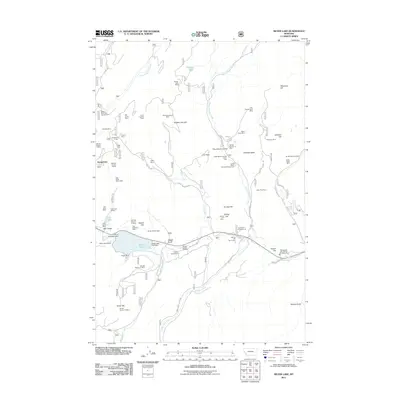 2011 Map of Silver Lake, 2011 Print
