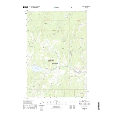 2020 Map of Silver Lake, 2020 Print