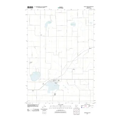 2010 Map of Silver Lake, 2010 Print